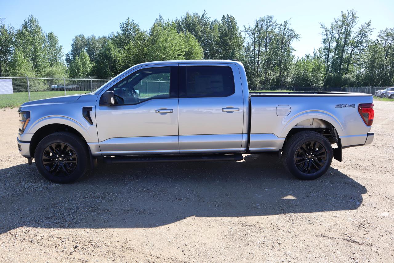 2025 Ford F-150 XLT Photo