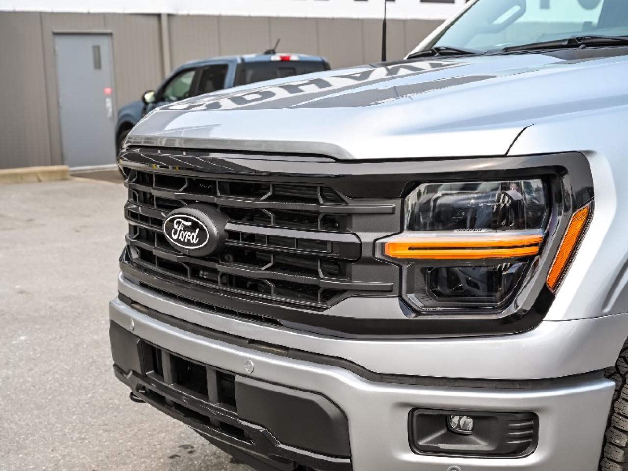 2025 Ford F-150 XLT Photo