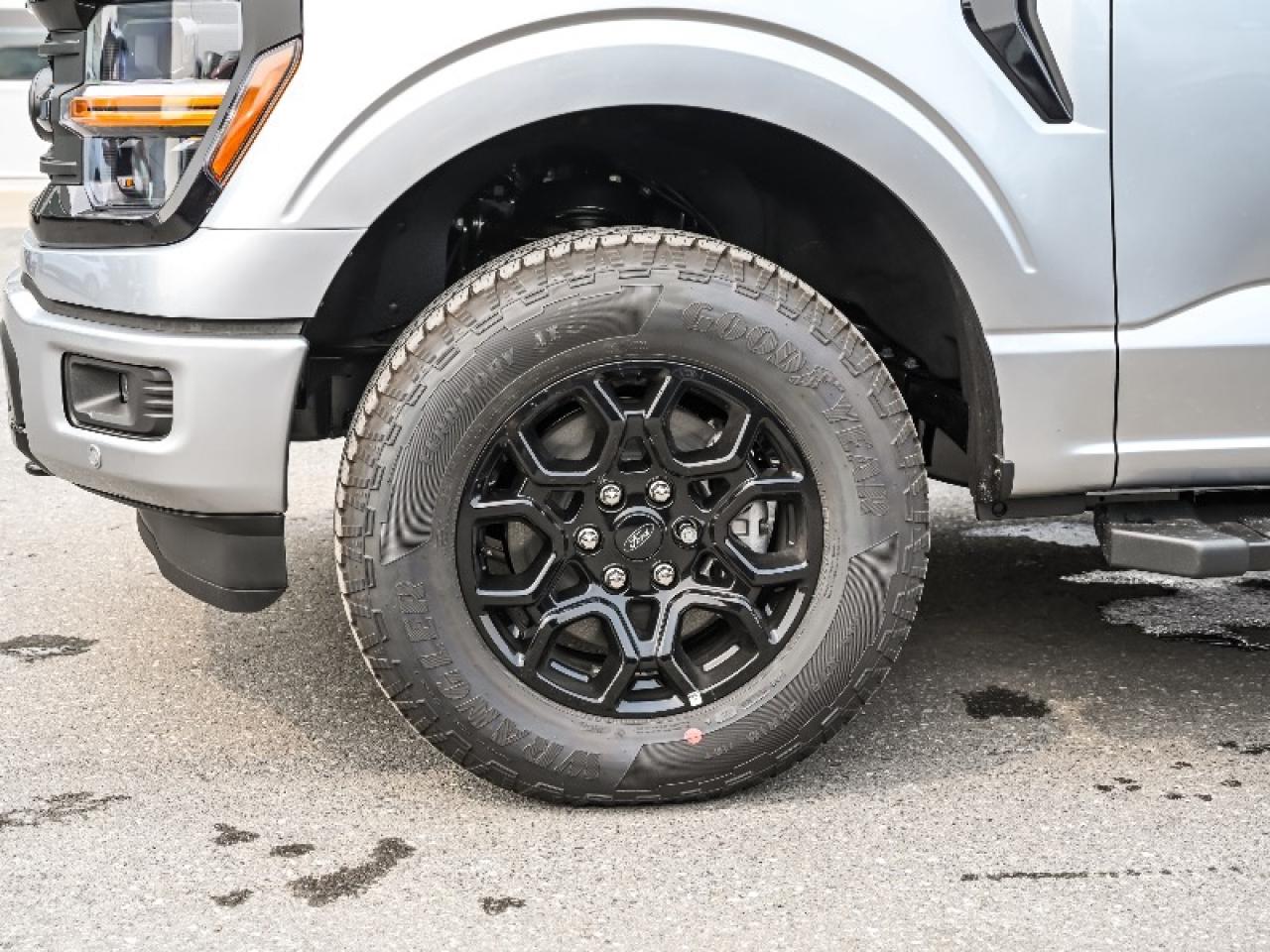 2025 Ford F-150 XLT Photo