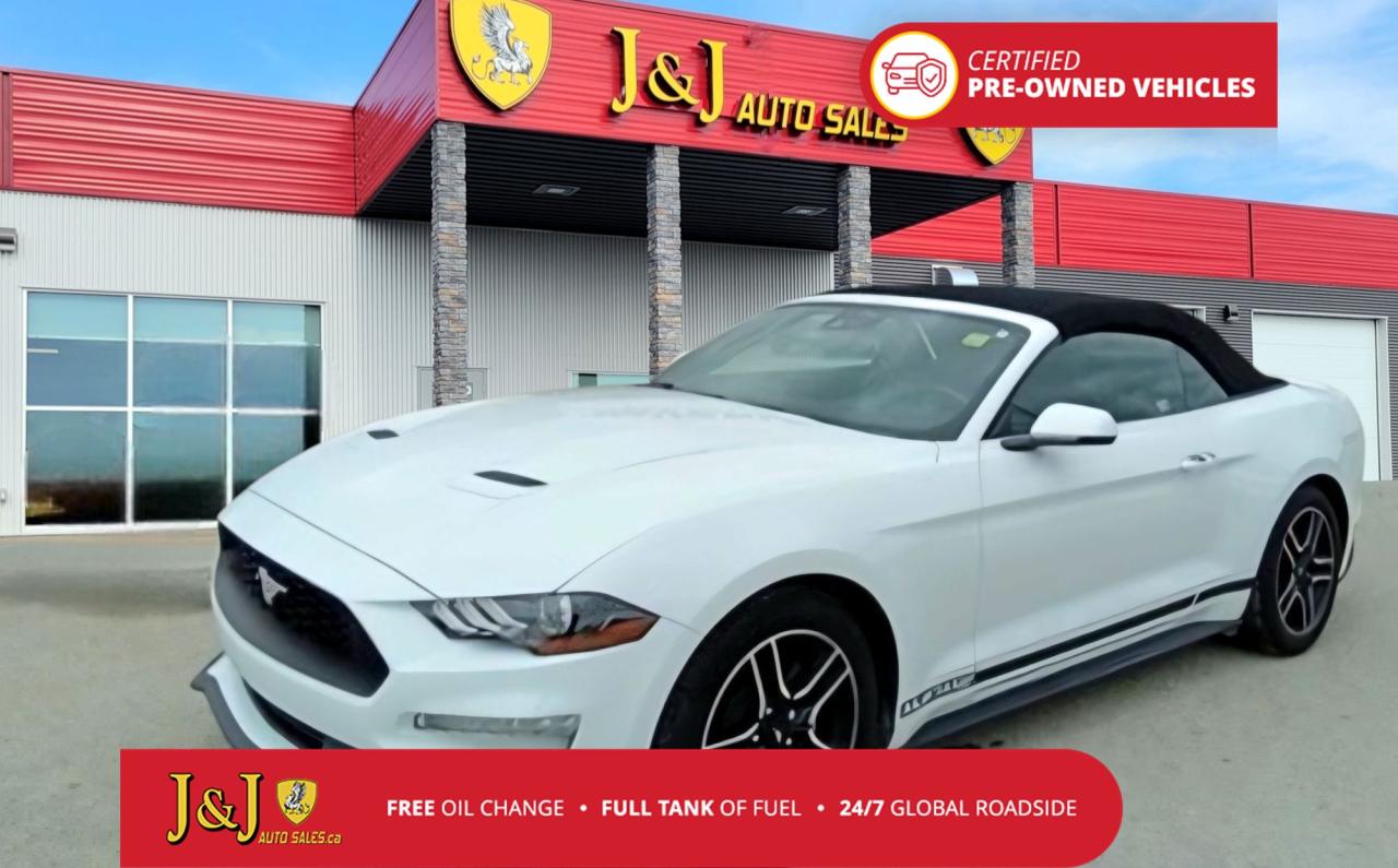 Used 2022 Ford Mustang EcoBoost Premium for sale in Brandon, MB