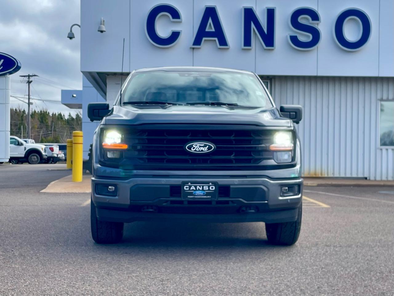2025 Ford F-150 XLT 4WD SuperCrew 5.5' Box Photo1