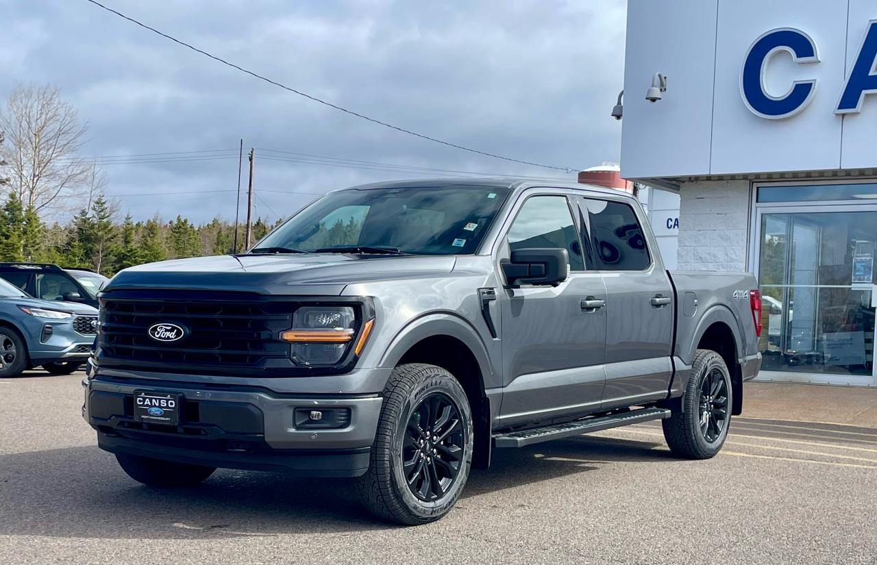 2025 Ford F-150 XLT 4WD SuperCrew 5.5' Box Photo5