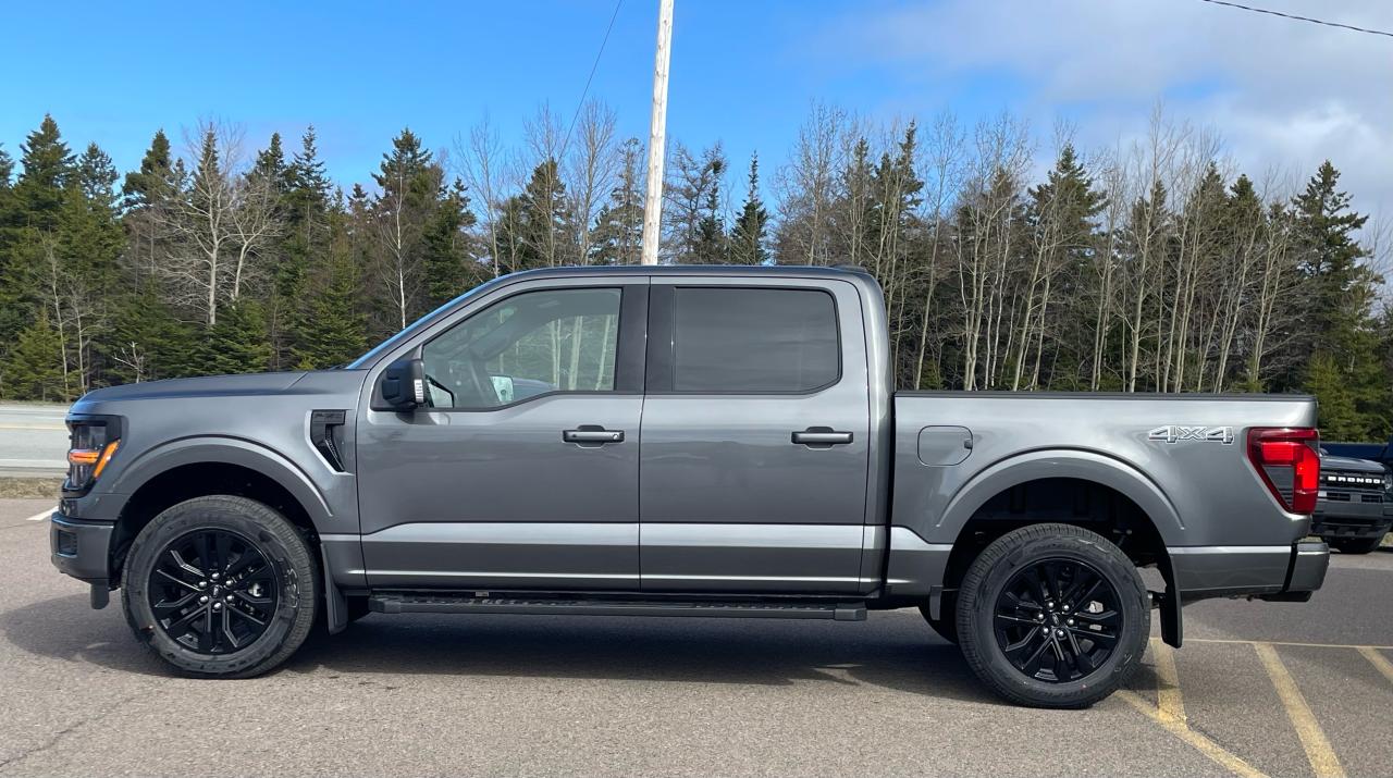 2025 Ford F-150 XLT 4WD SuperCrew 5.5' Box Photo5
