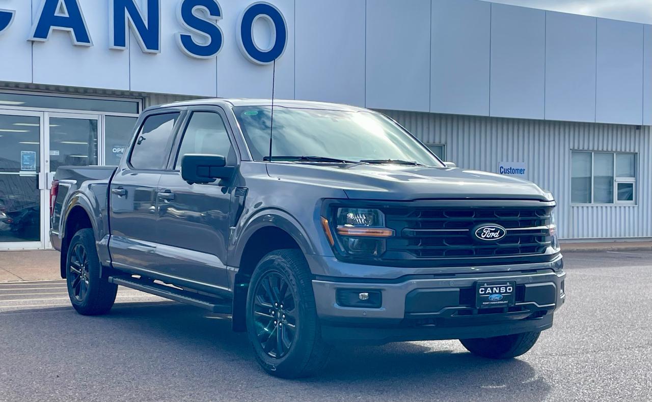 2025 Ford F-150 XLT 4WD SuperCrew 5.5' Box Photo2