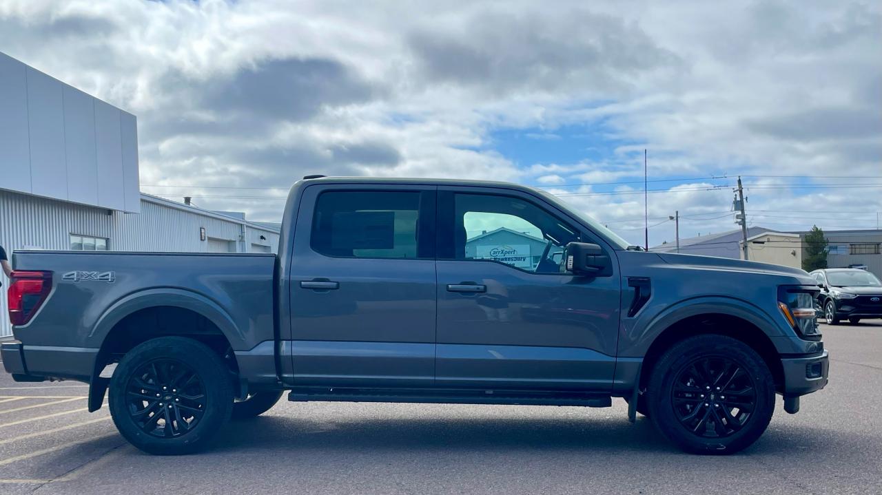 2025 Ford F-150 XLT 4WD SuperCrew 5.5' Box Photo3