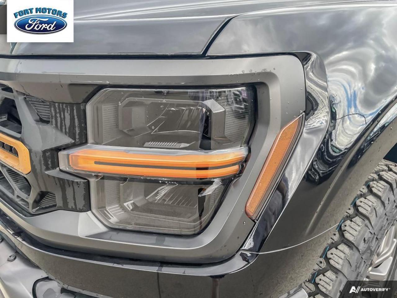 2025 Ford F-150 Tremor® Photo5