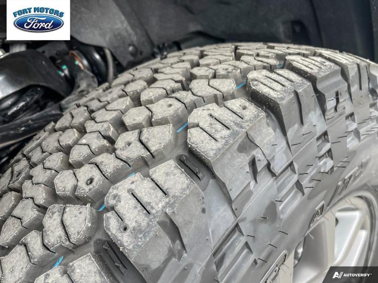 2025 Ford F-150 Tremor® Photo5