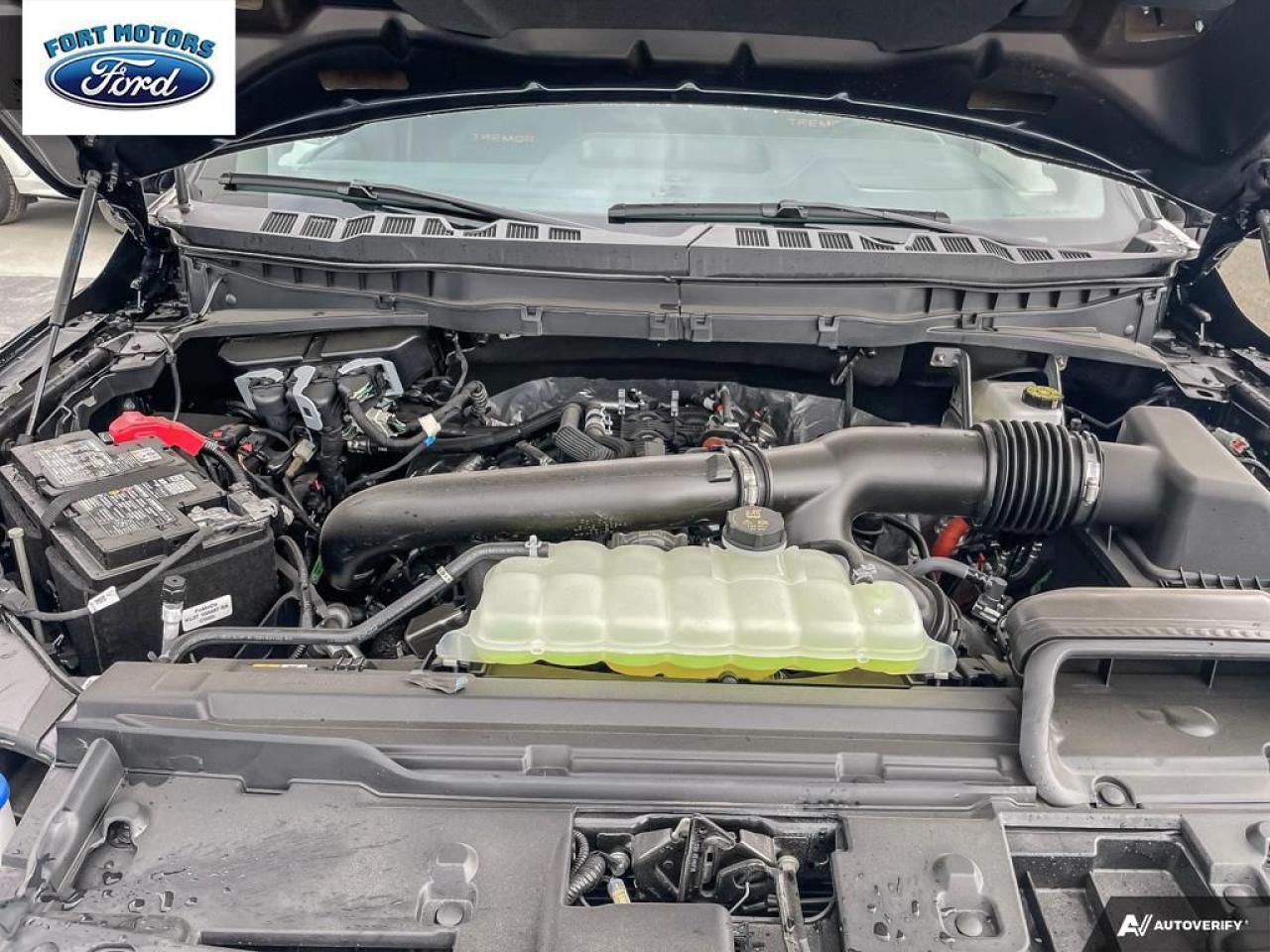 2025 Ford F-150 Tremor® Photo5