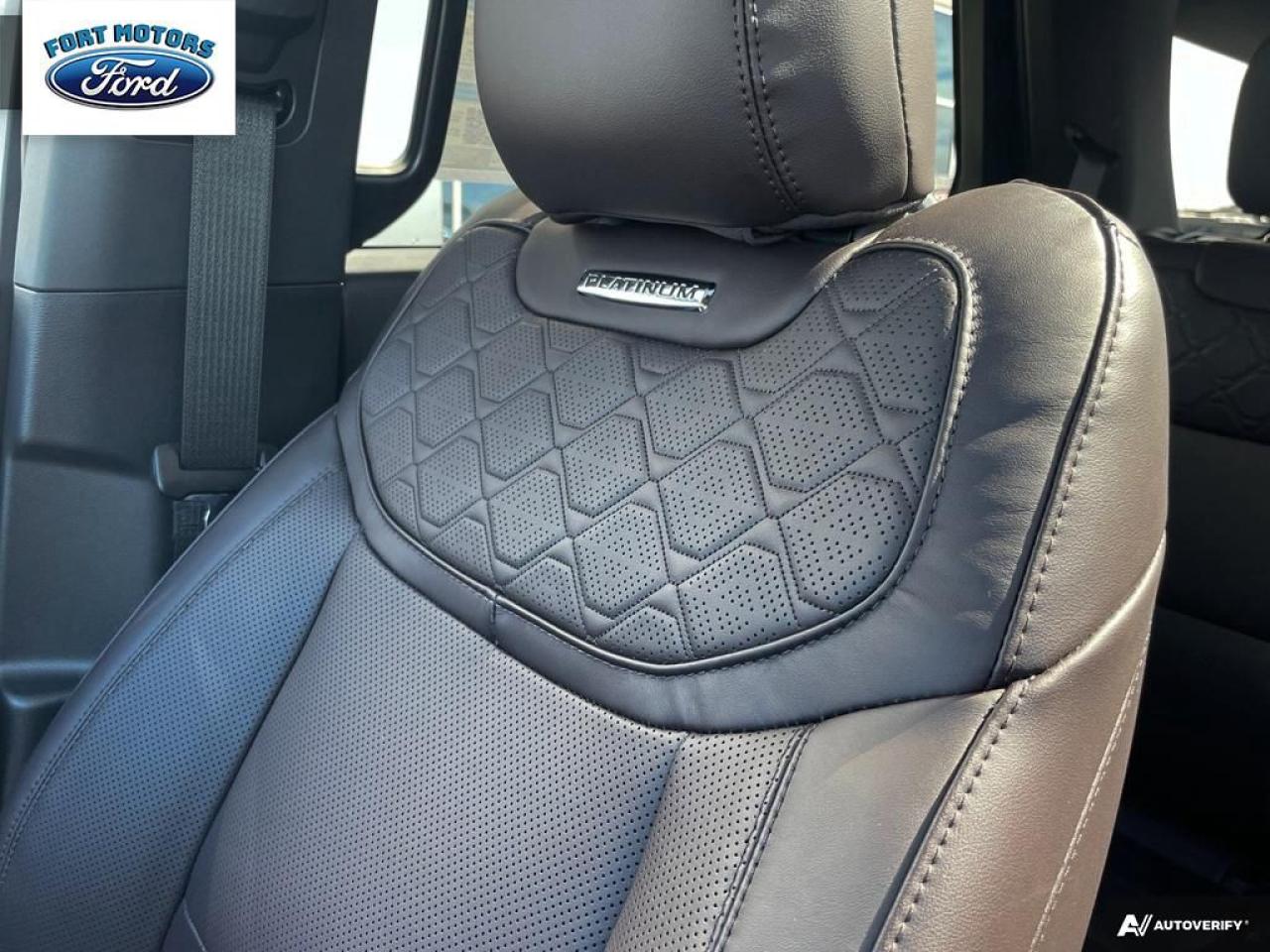 2025 Ford Explorer Platinum Photo5