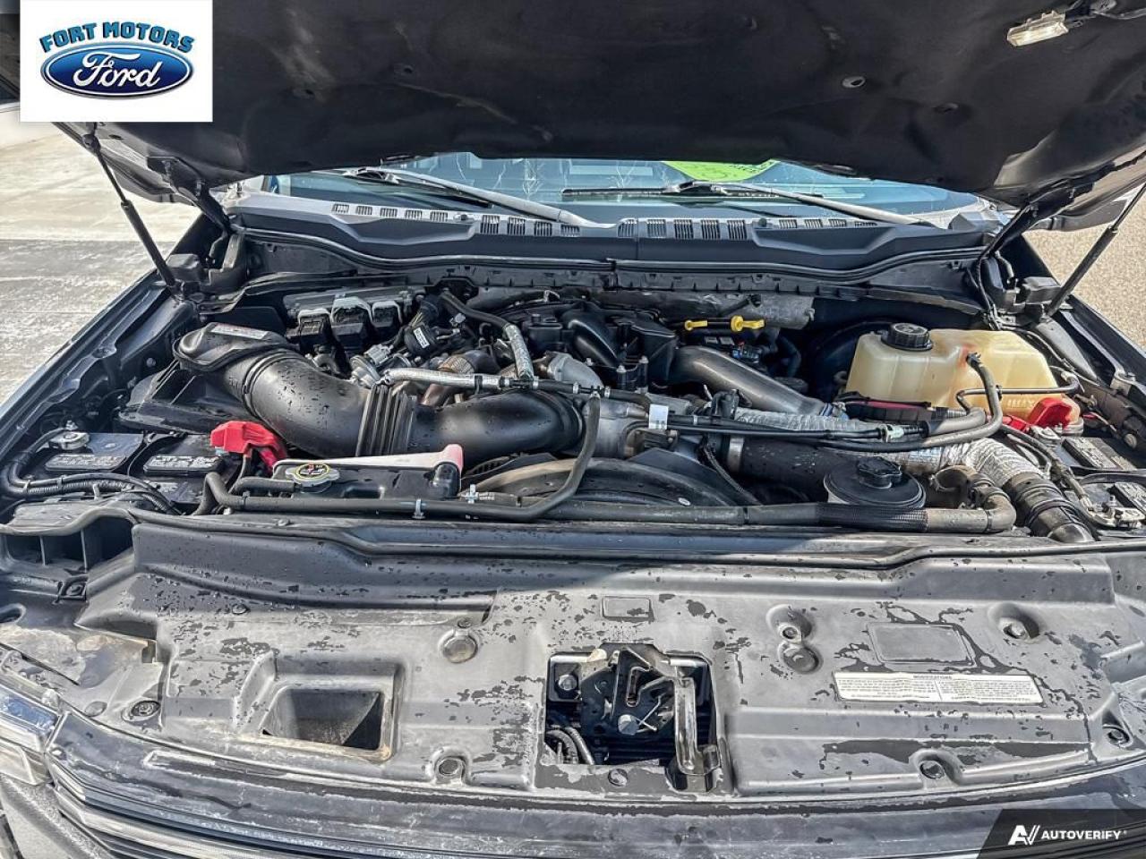 2018 Ford F-350 Platinum Photo5