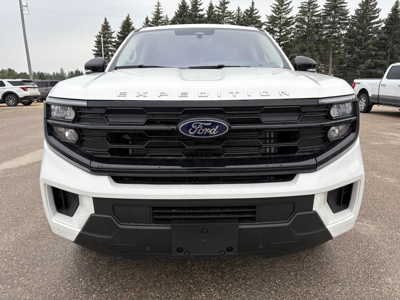 2025 Ford Expedition ACTIVE MAX 4X4 Photo2
