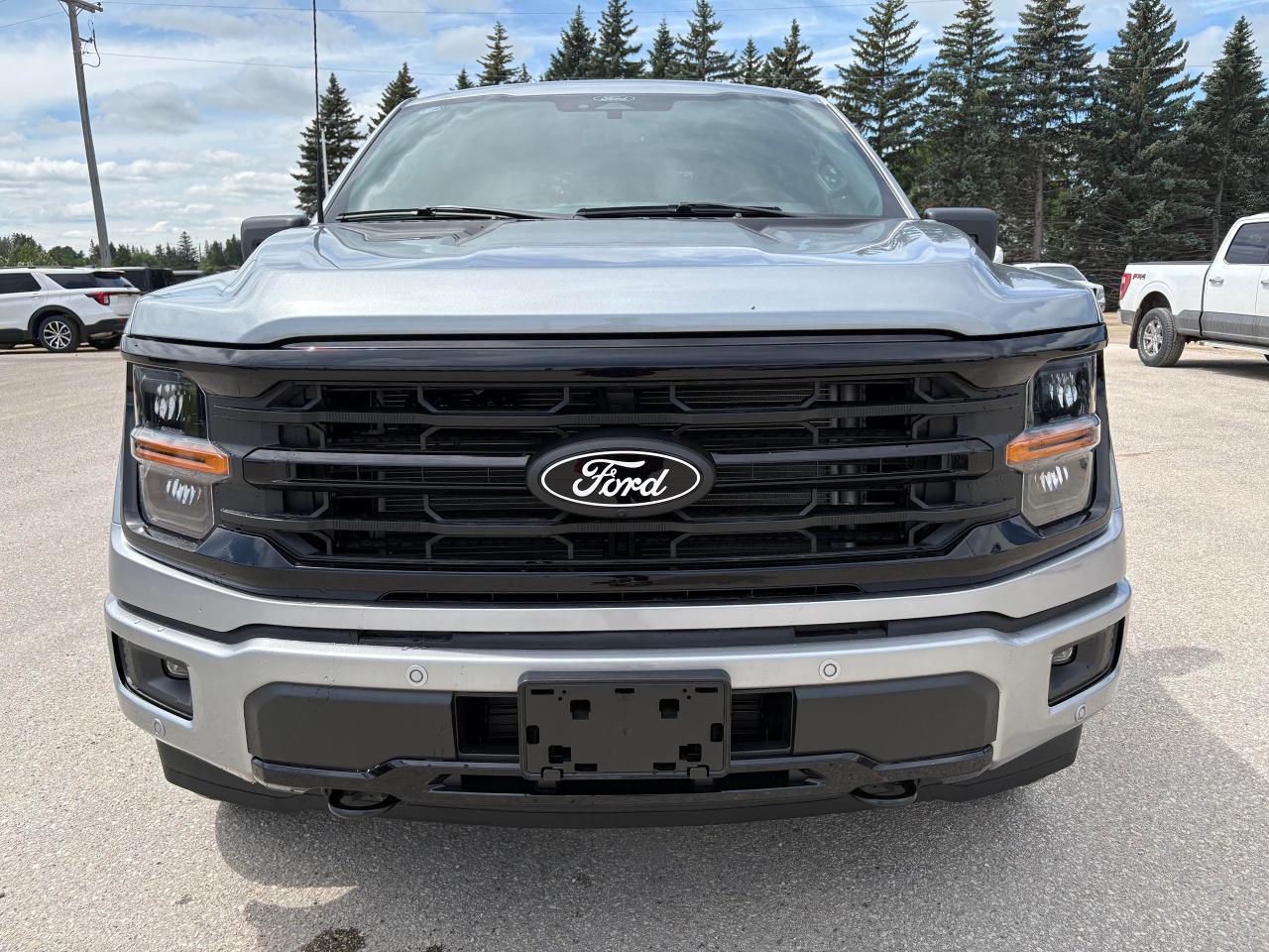 2025 Ford F-150 XLT 4WD SuperCrew 6.5' Box Photo2