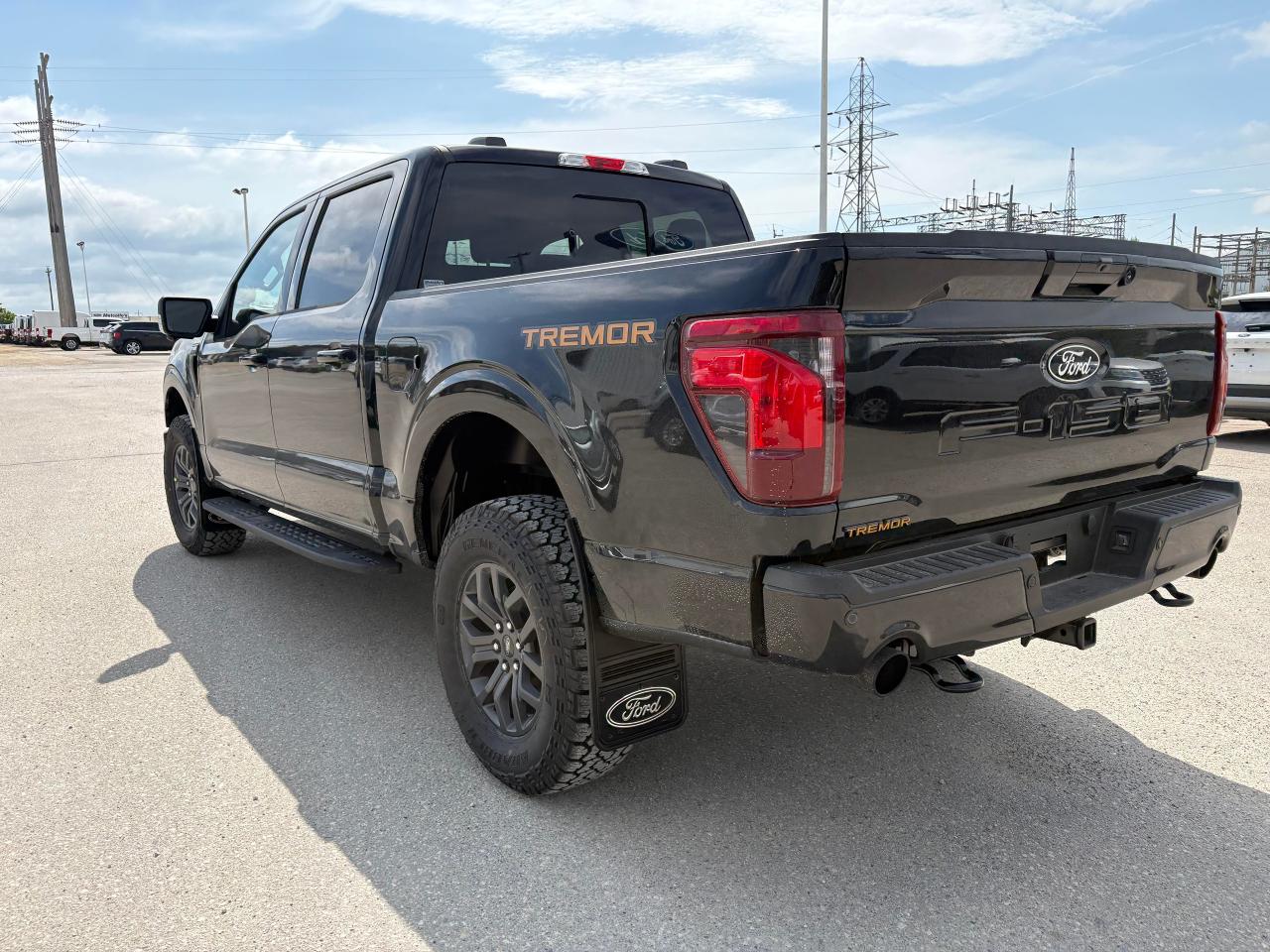2025 Ford F-150 Tremor 4WD SuperCrew 5.5' Box Photo5
