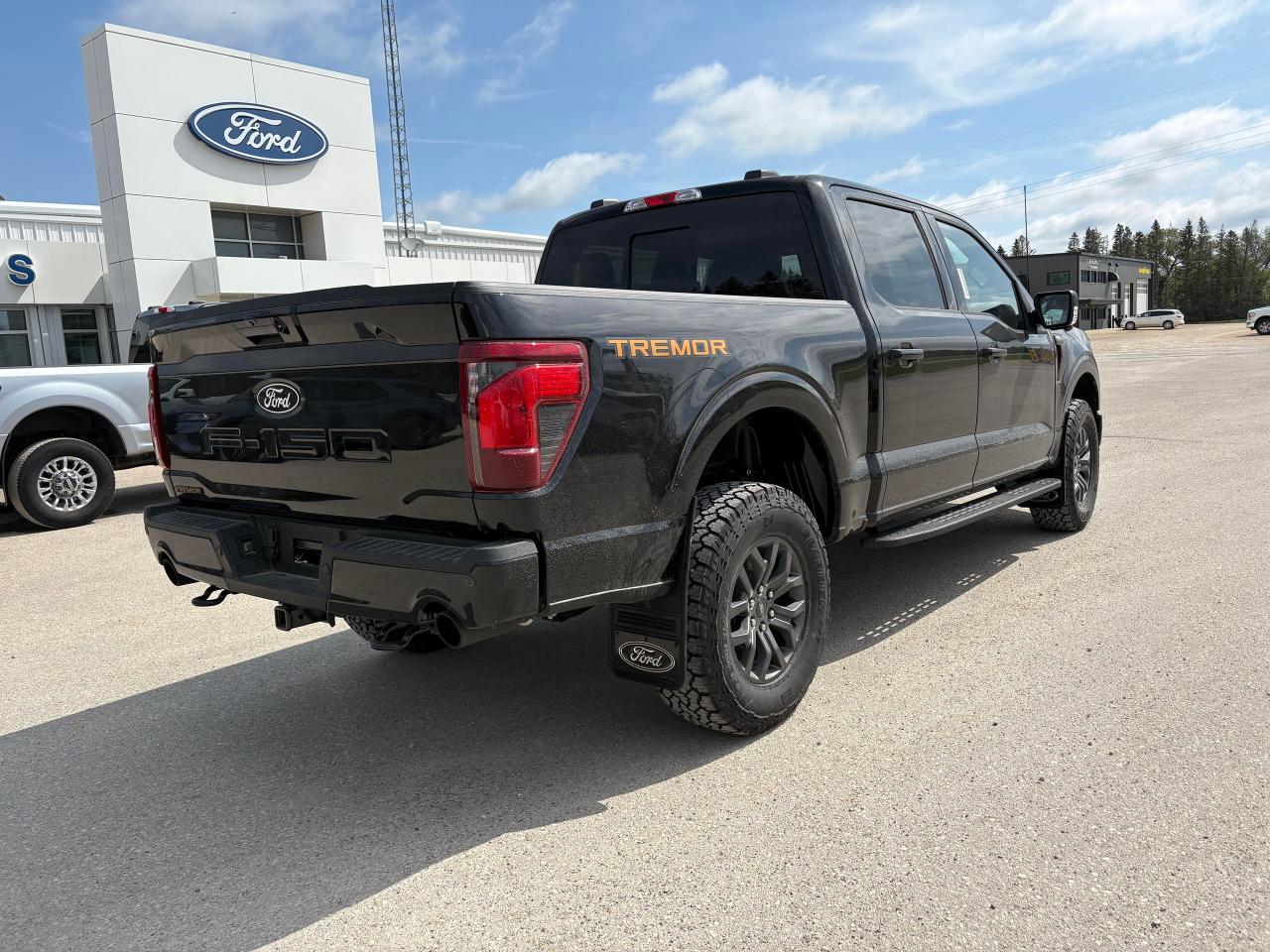 2025 Ford F-150 Tremor 4WD SuperCrew 5.5' Box Photo
