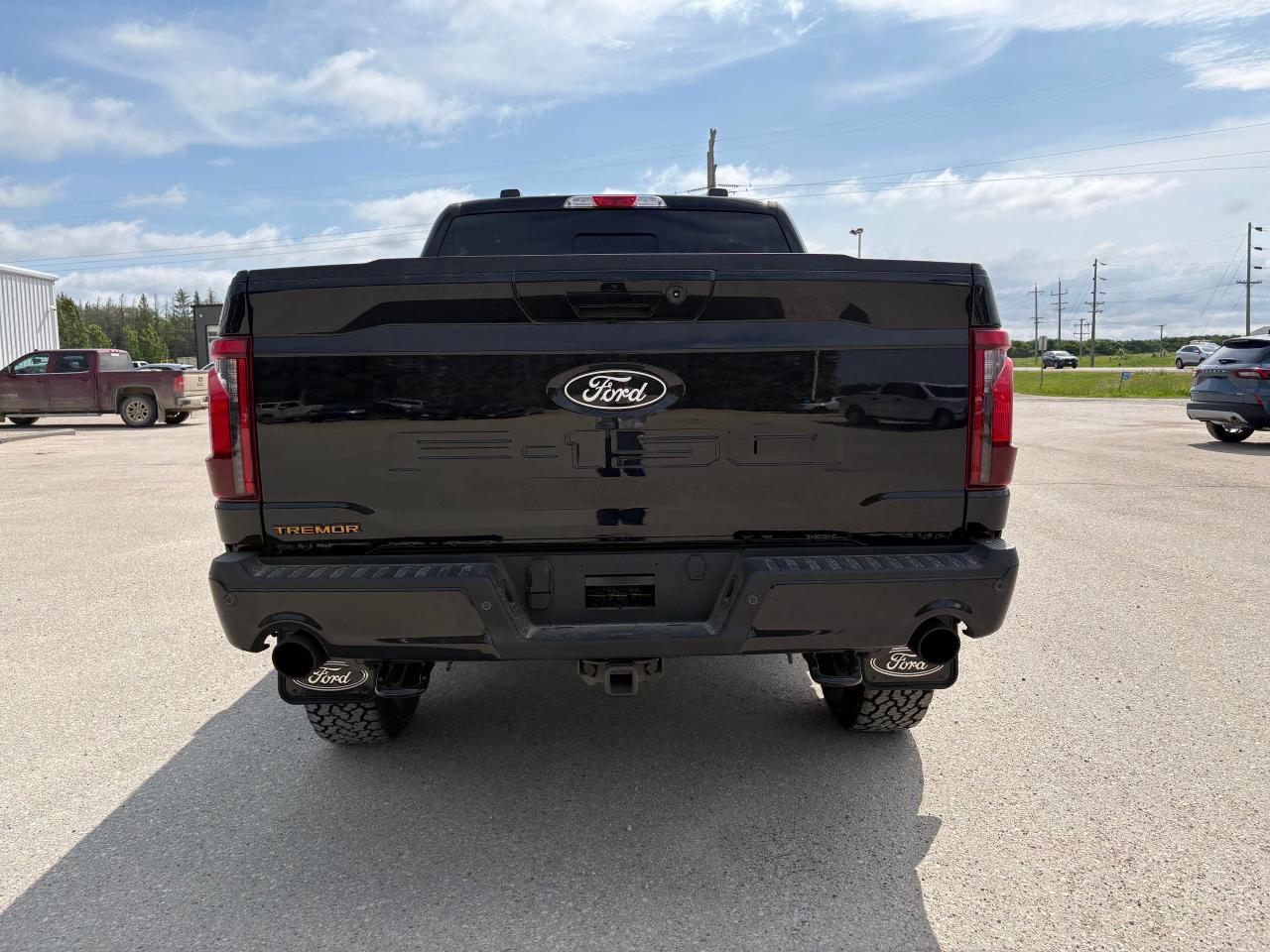 2025 Ford F-150 Tremor 4WD SuperCrew 5.5' Box Photo3