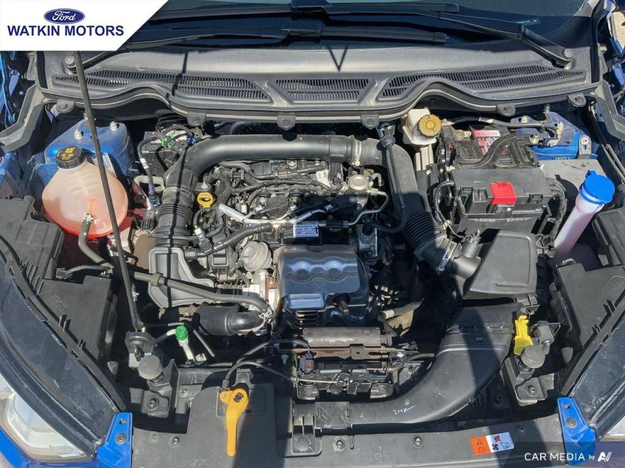 2018 Ford EcoSport SE FWD Photo12