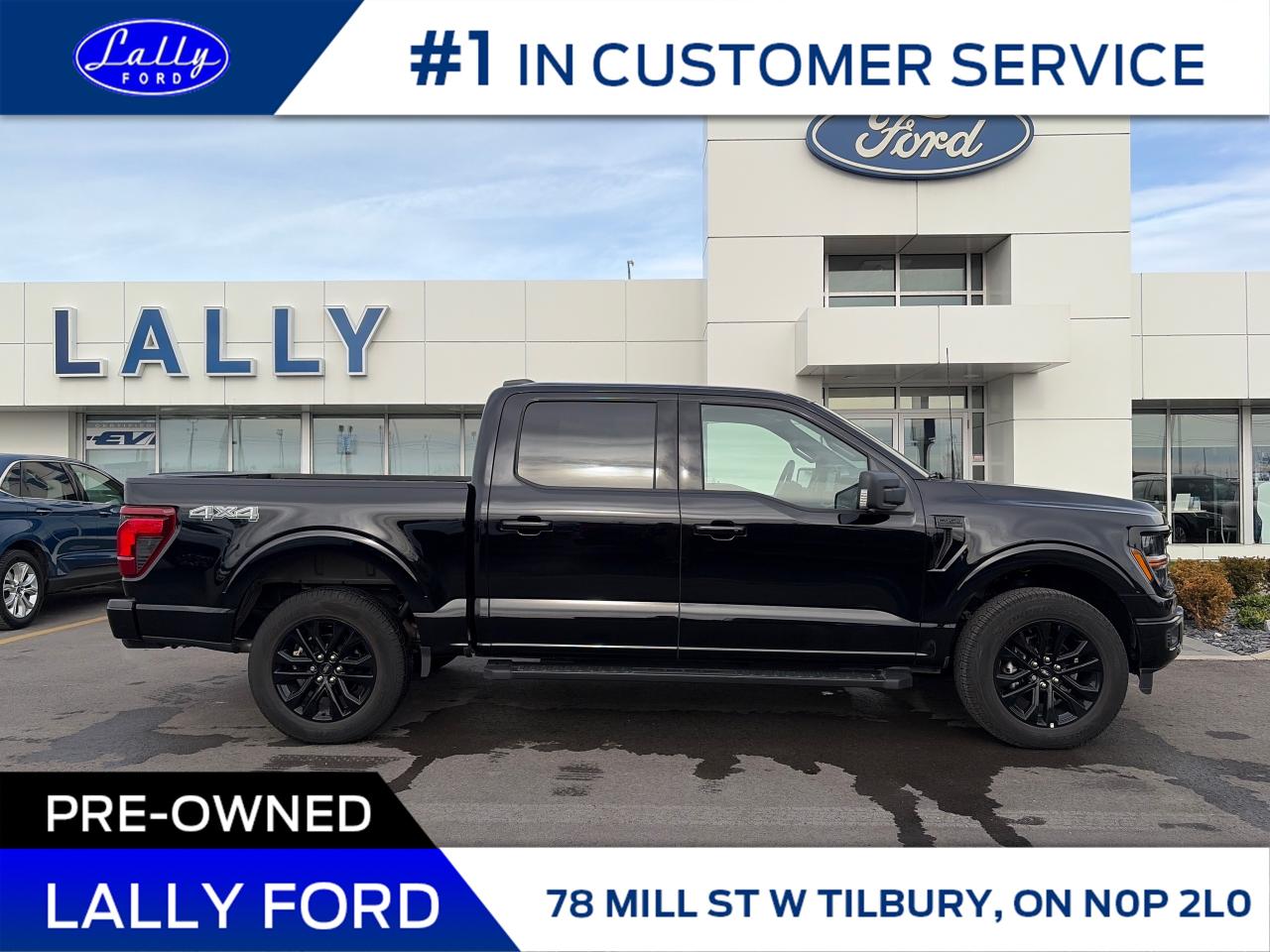 2025 Ford F-150 XLT Photo