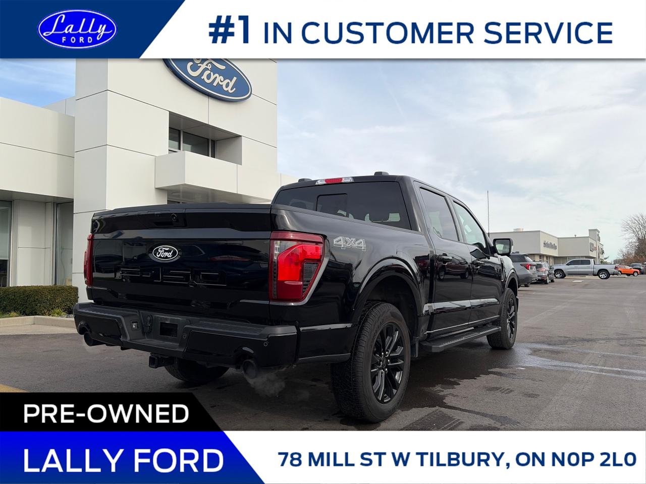 2025 Ford F-150 XLT Photo2