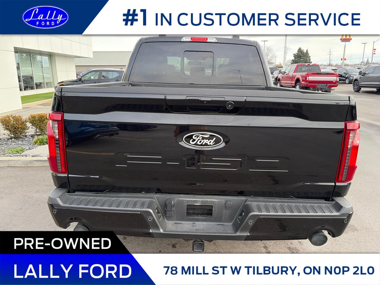 2025 Ford F-150 XLT Photo