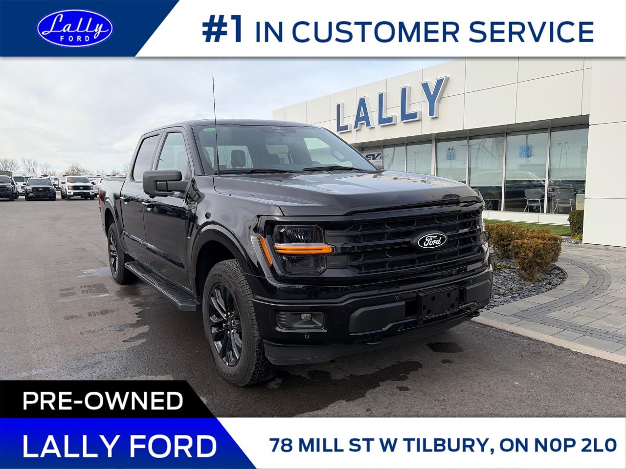 2025 Ford F-150 XLT Photo