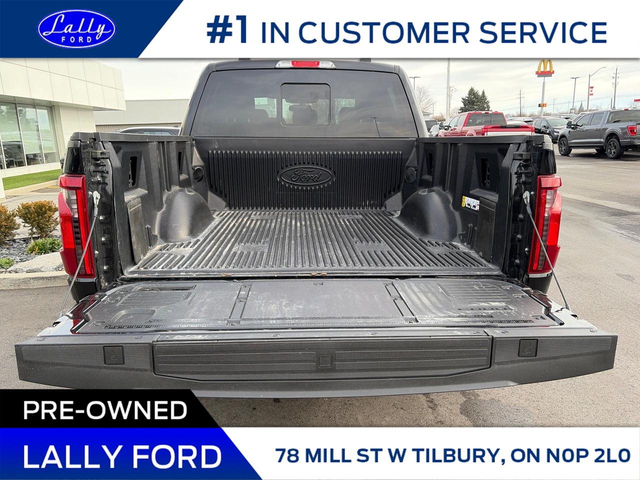 2025 Ford F-150 XLT Photo