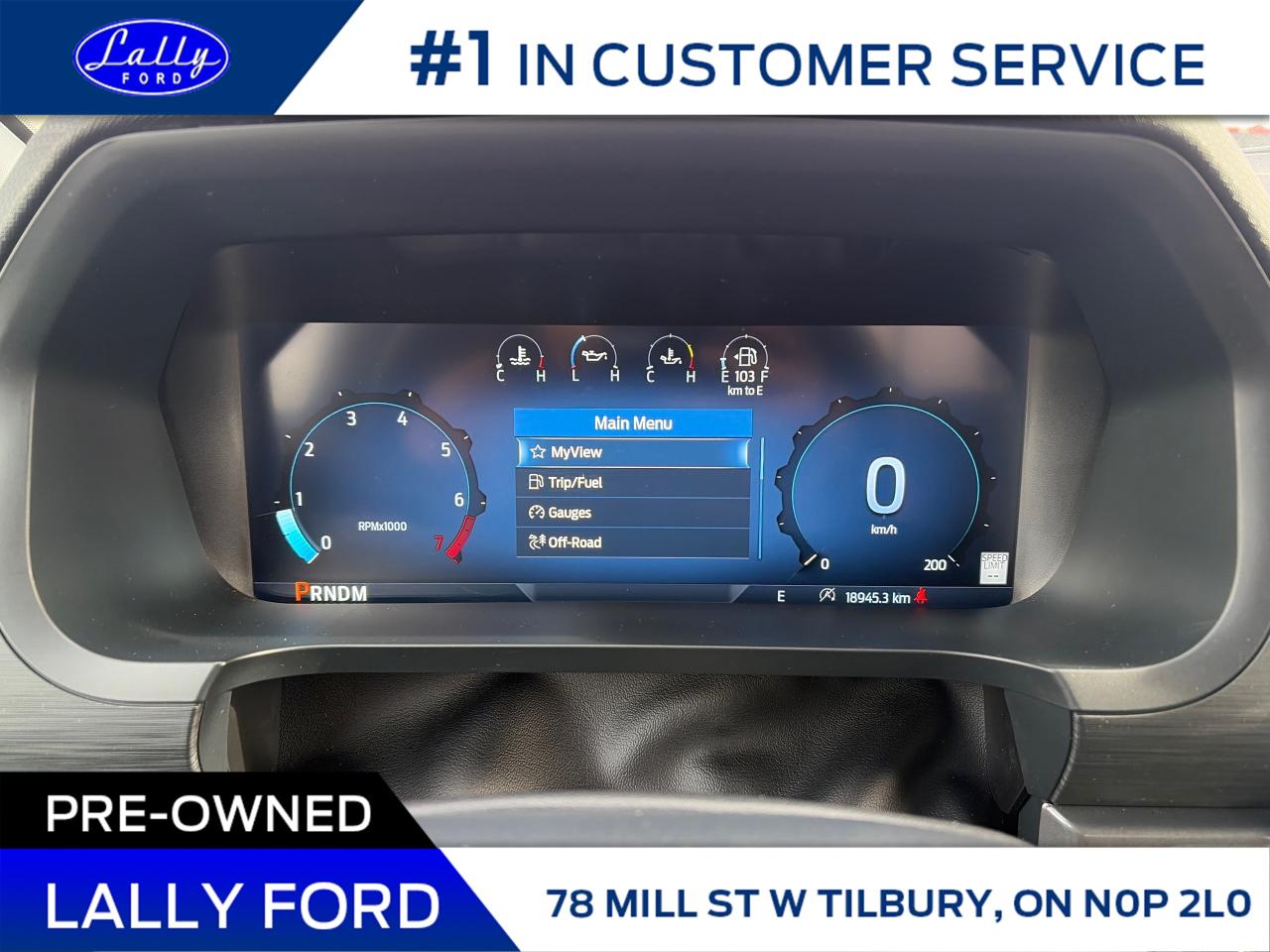 2025 Ford F-150 XLT Photo