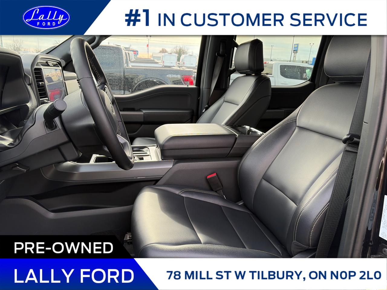 2025 Ford F-150 XLT Photo