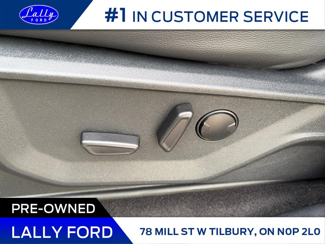 2025 Ford F-150 XLT Photo