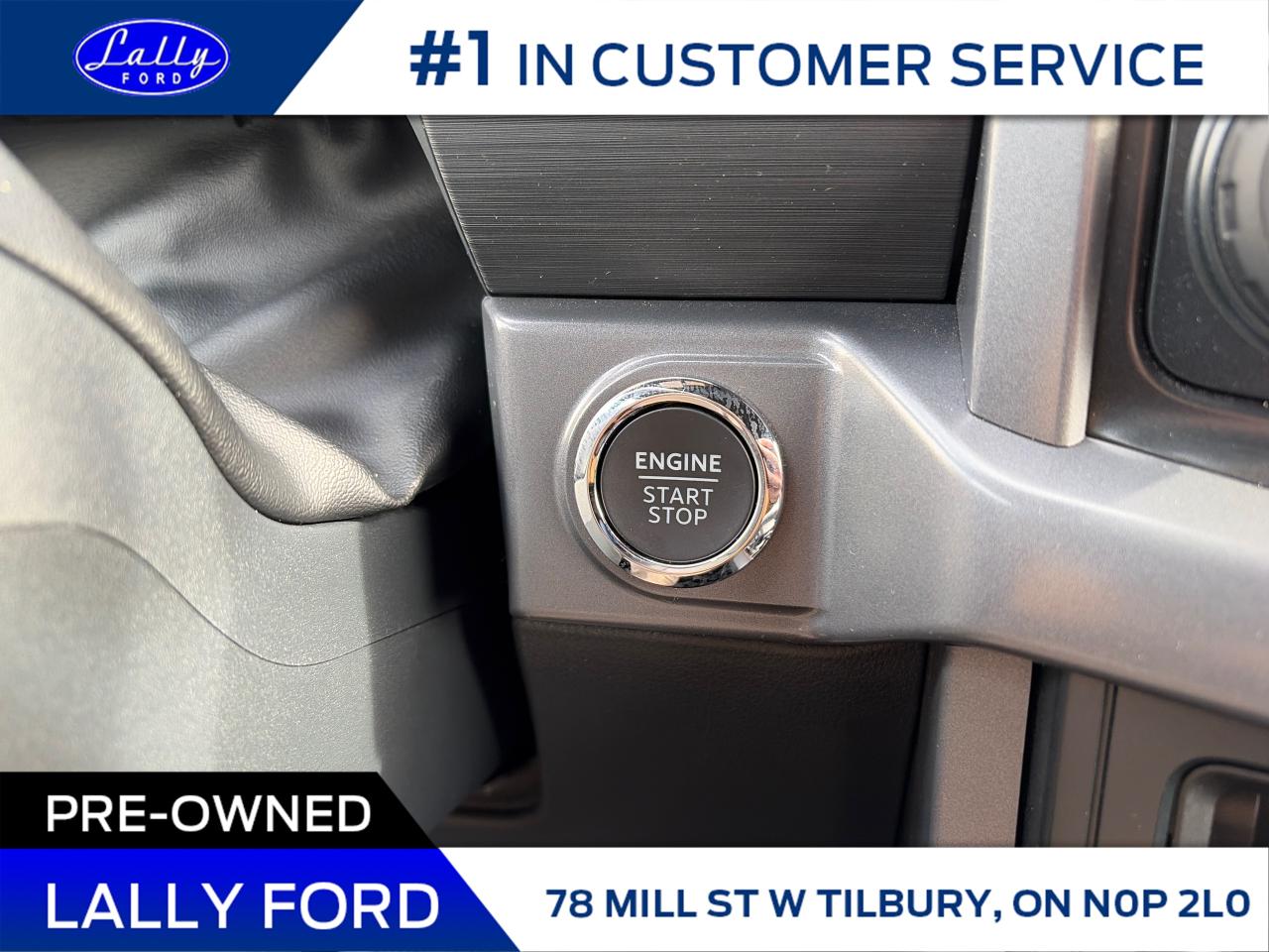 2025 Ford F-150 XLT Photo