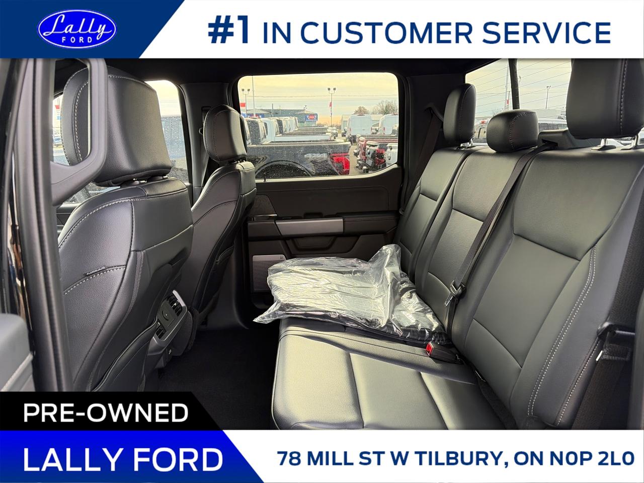 2025 Ford F-150 XLT Photo