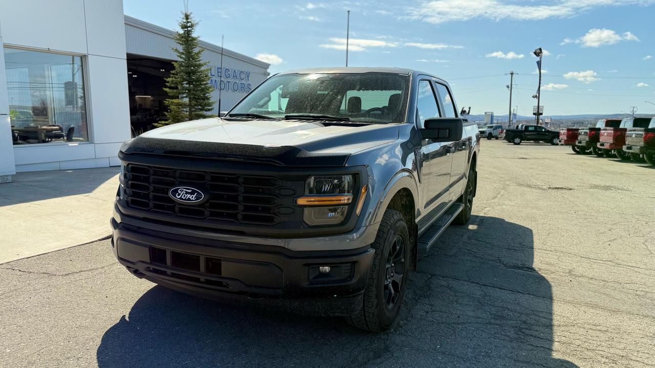 2025 Ford F-150 STX® Photo0