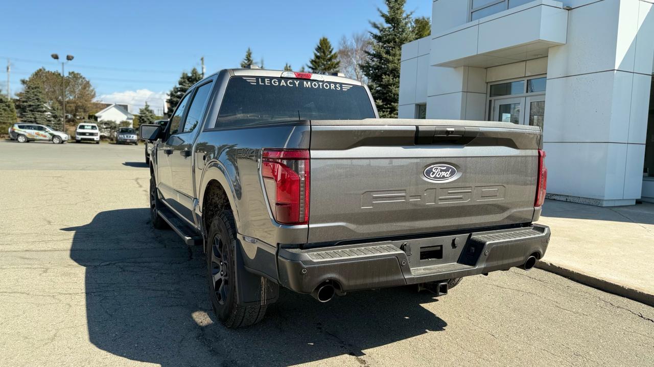 2025 Ford F-150 STX® Photo3