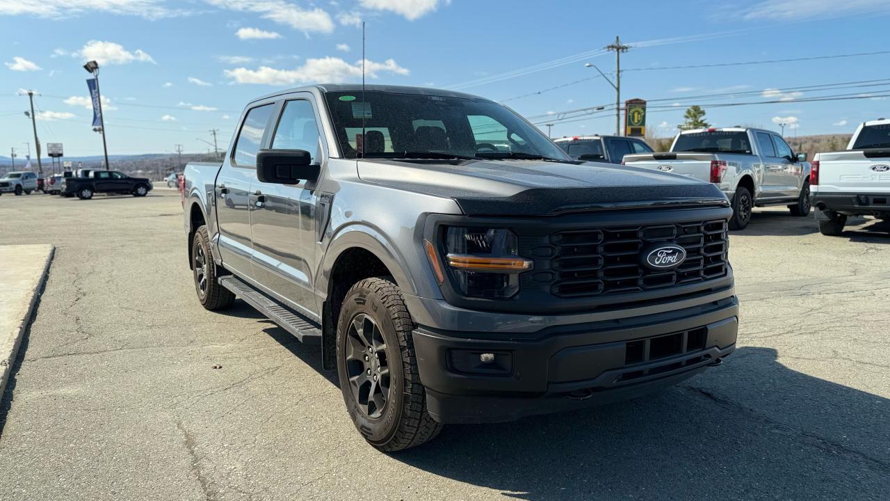 2025 Ford F-150 STX® Photo5