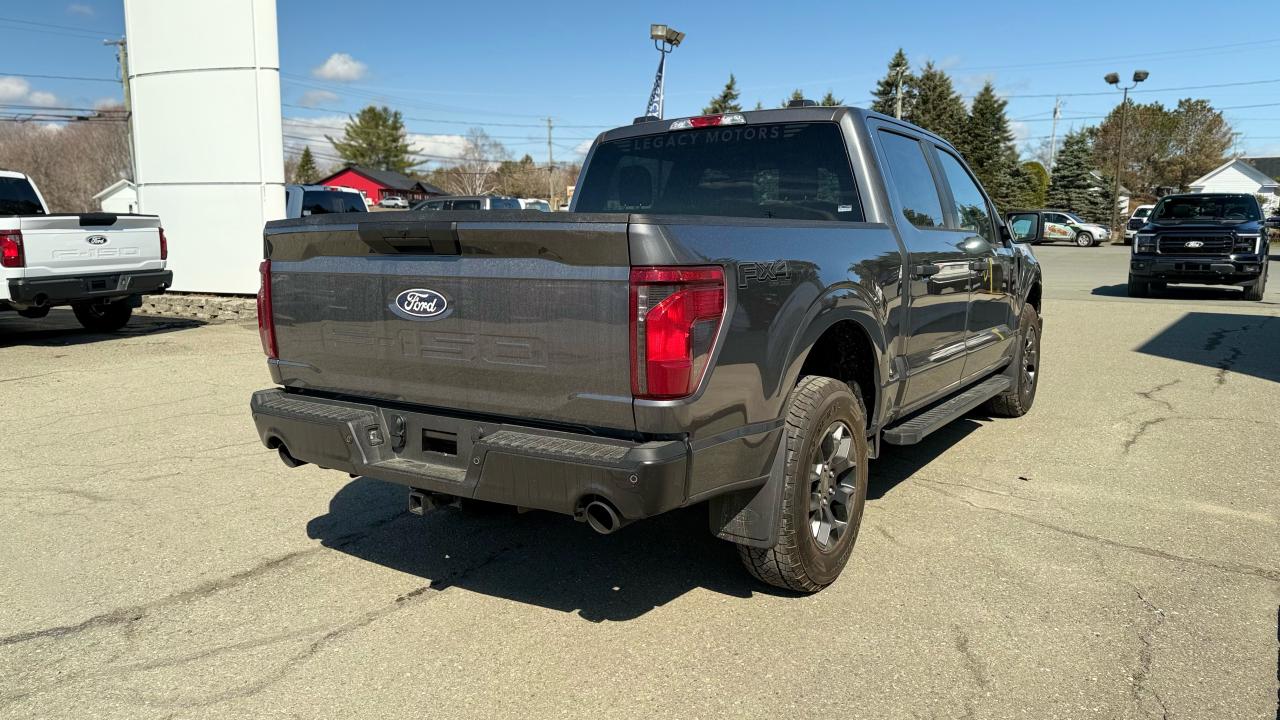 2025 Ford F-150 STX® Photo5