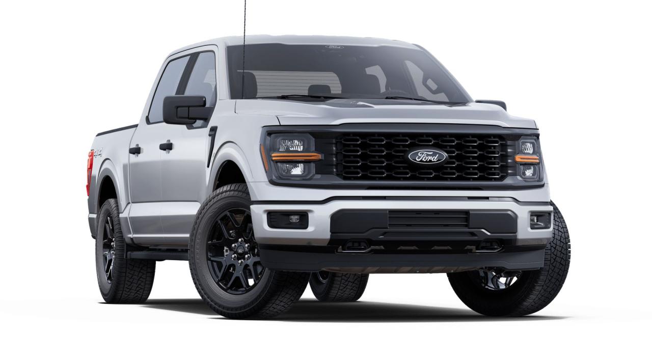 2025 Ford F-150 STX® Photo