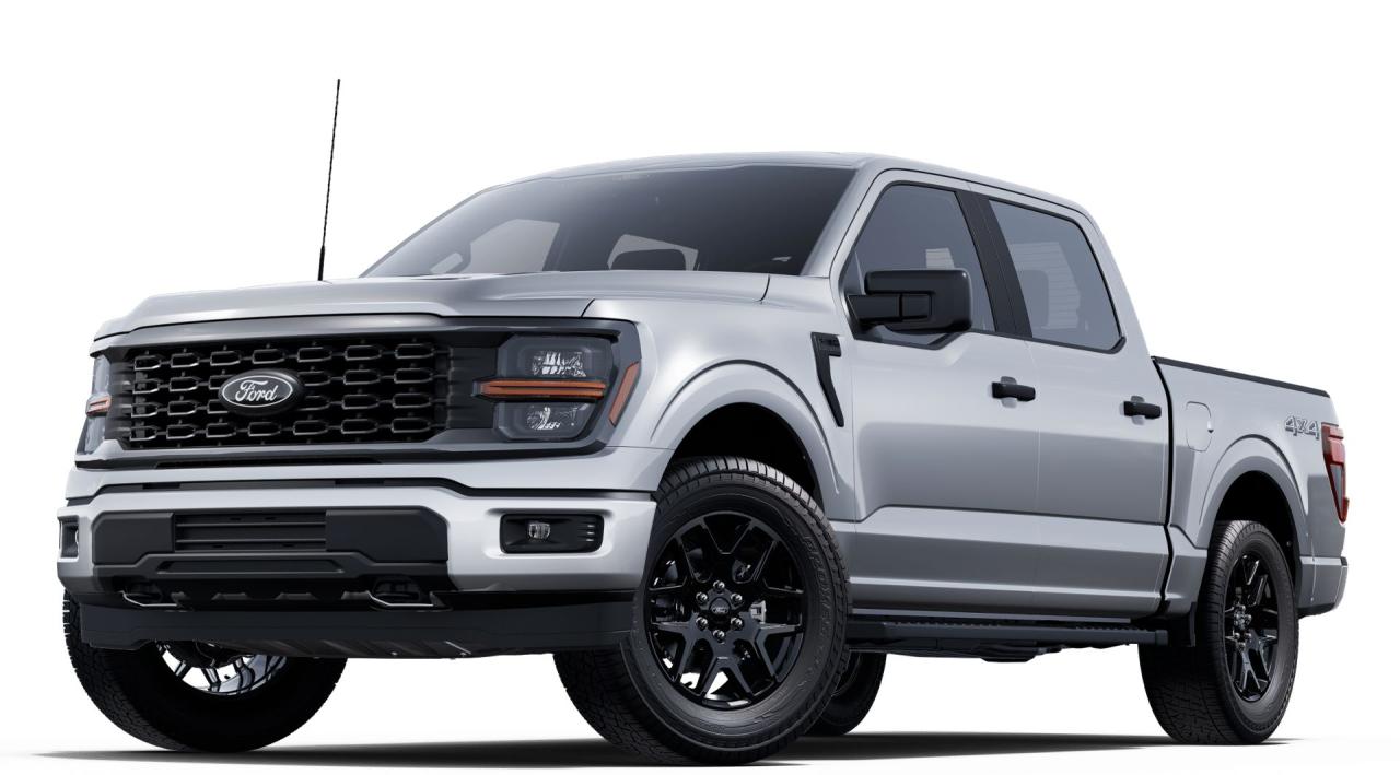 2025 Ford F-150 STX® Photo0
