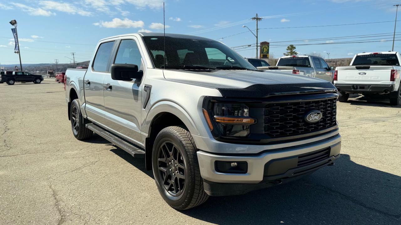 2025 Ford F-150 STX® Photo1