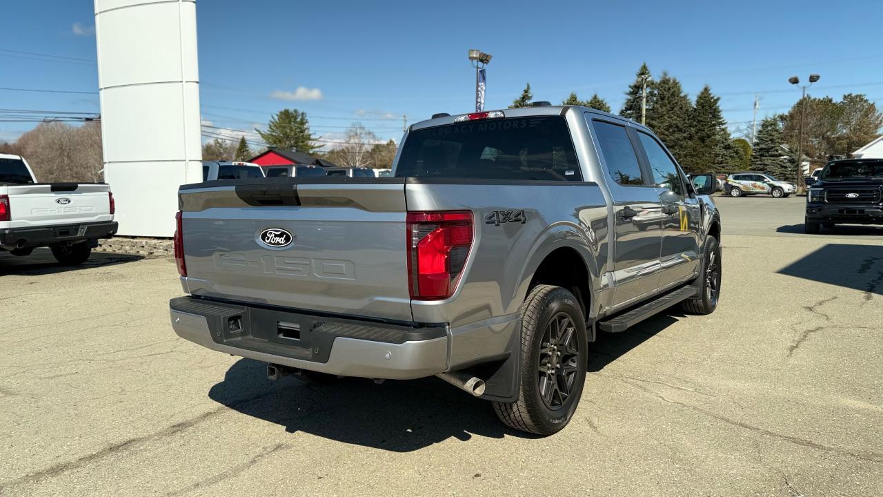 2025 Ford F-150 STX® Photo