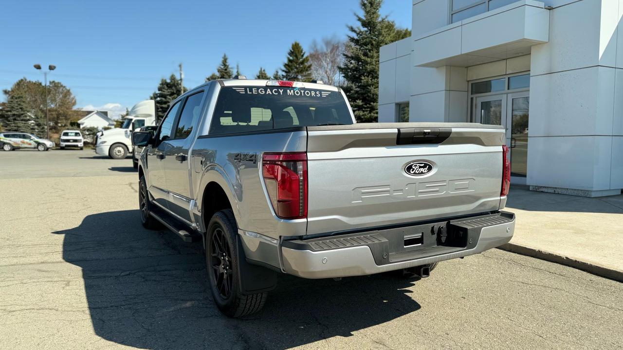 2025 Ford F-150 STX® Photo