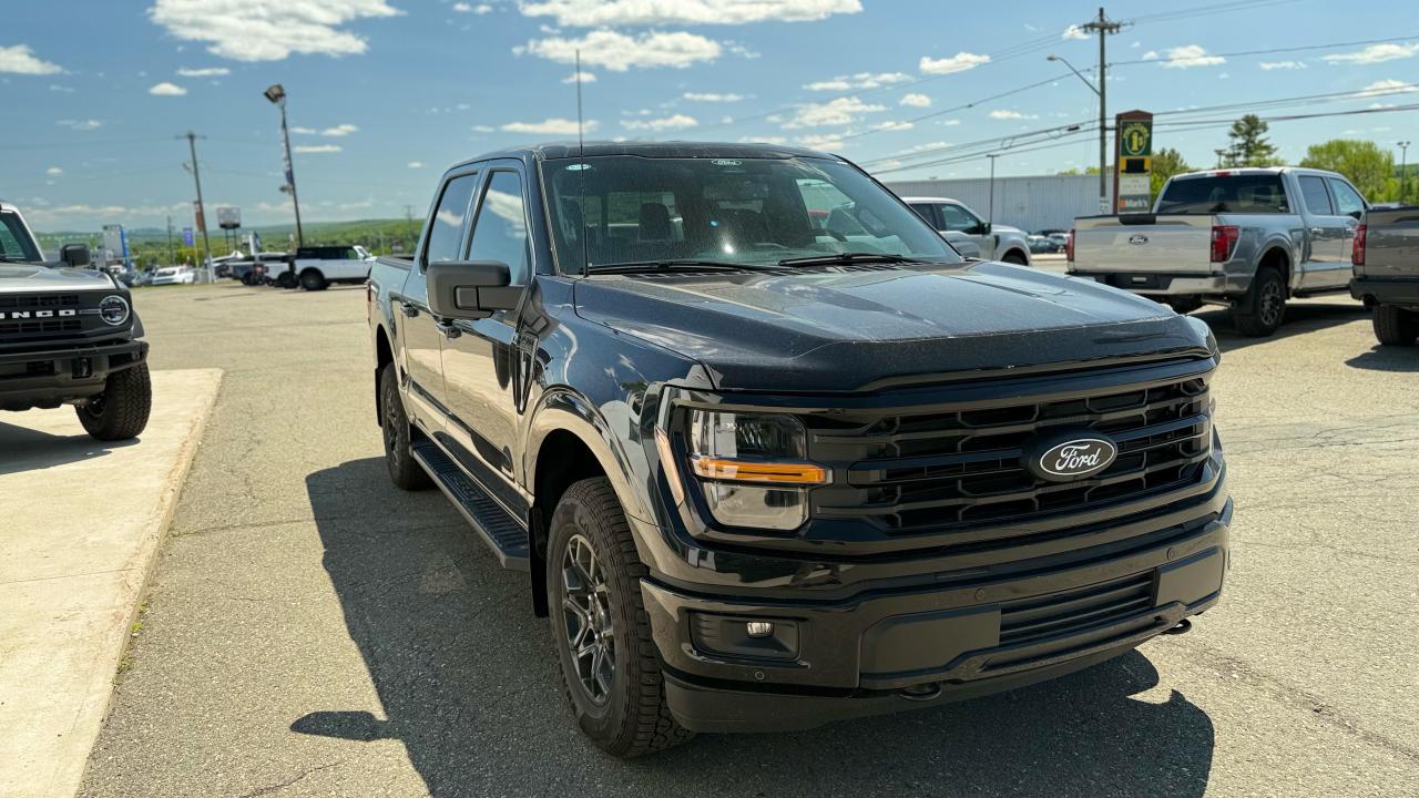 2025 Ford F-150 XLT Photo1
