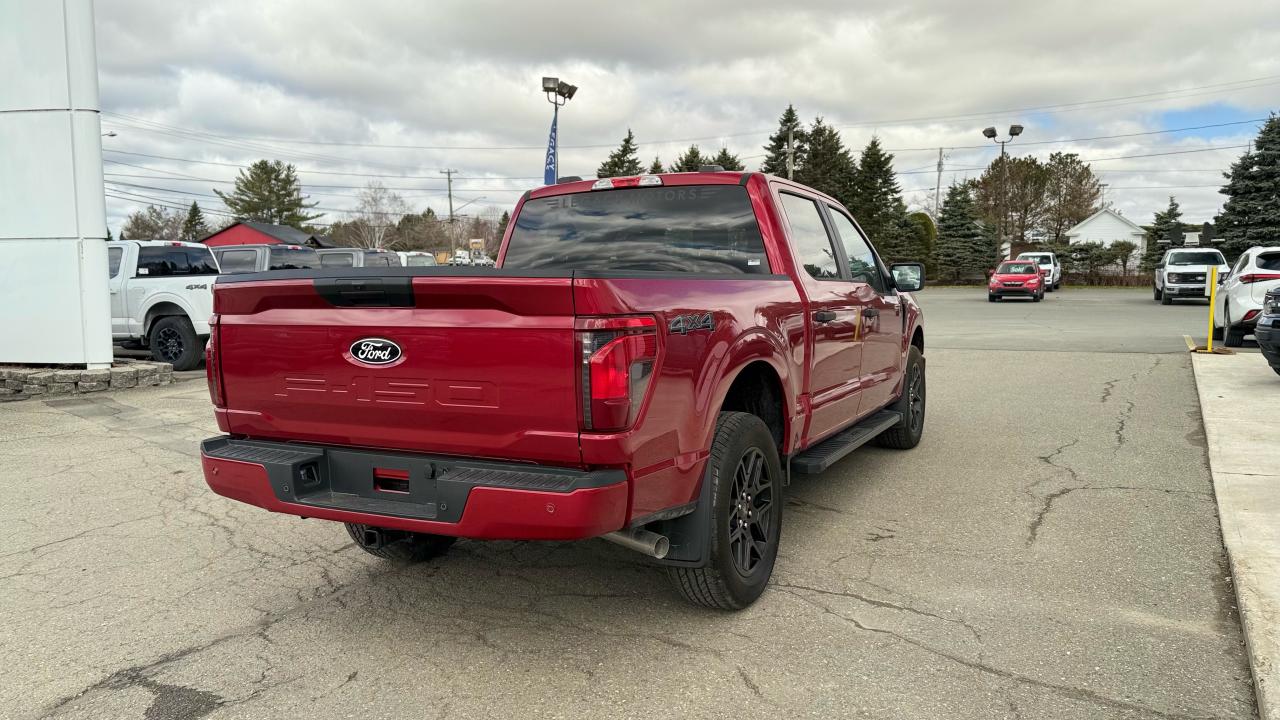 2025 Ford F-150 STX® Photo2