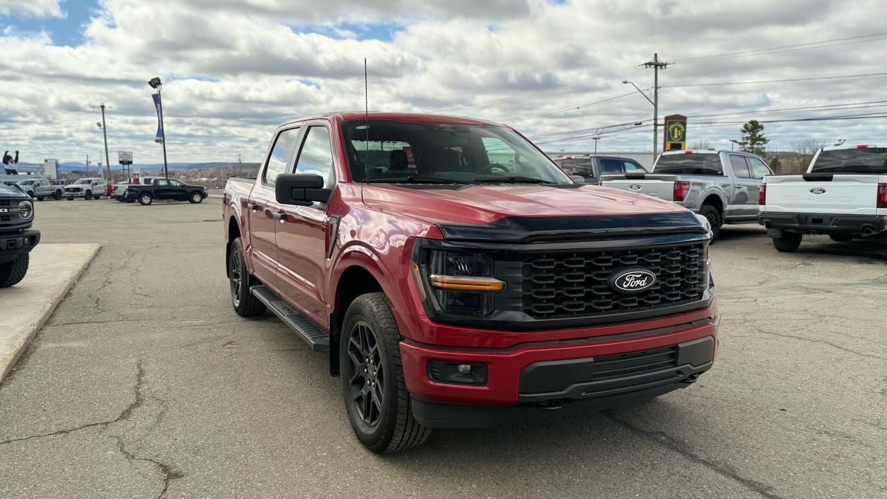 2025 Ford F-150 STX® Photo5