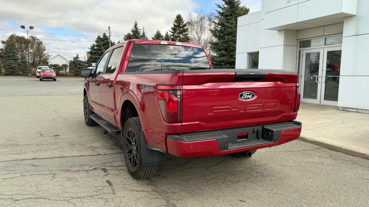 2025 Ford F-150 STX® Photo3