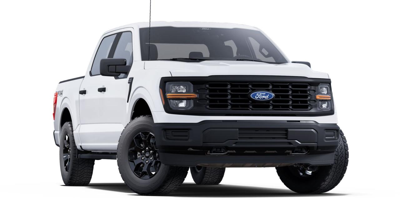 2025 Ford F-150  Photo3
