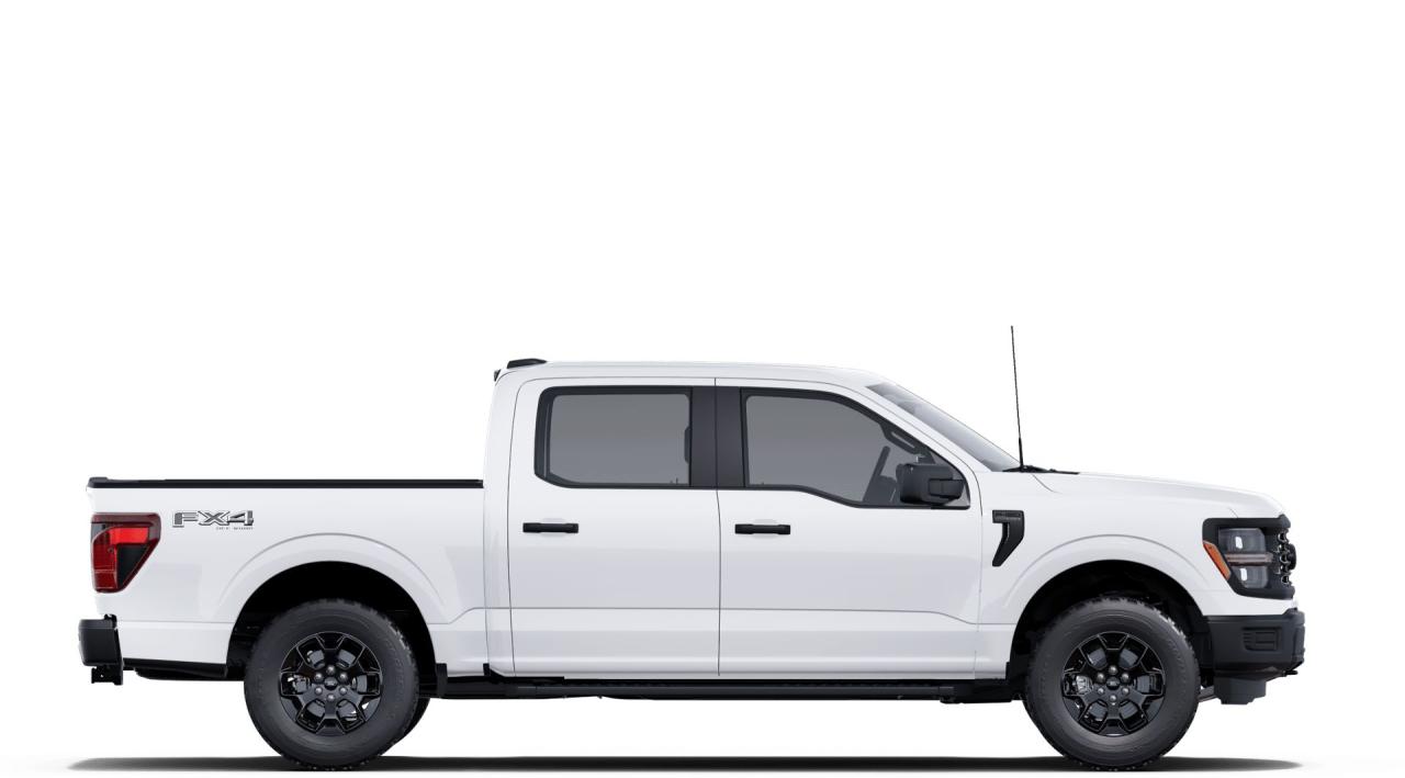 2025 Ford F-150  Photo4