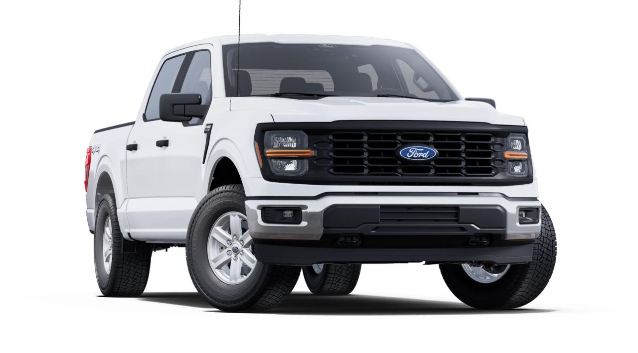 2025 Ford F-150  Photo