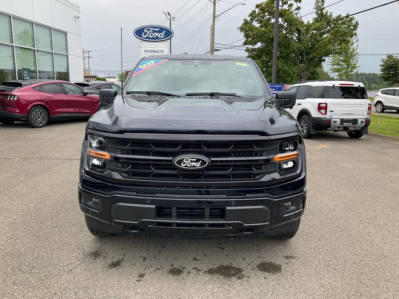 2025 Ford F-150 XLT Photo