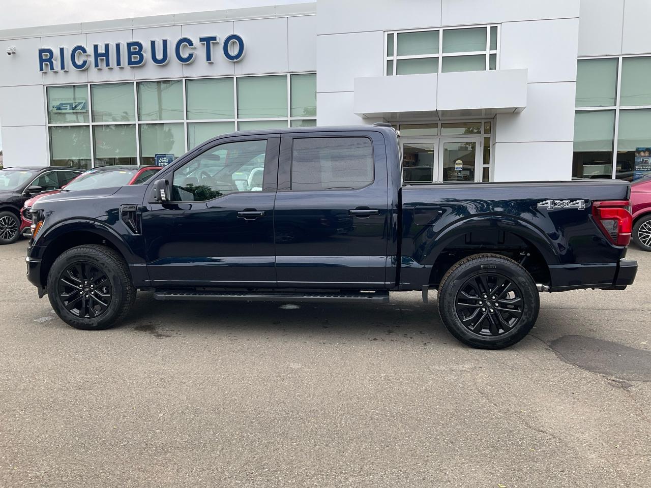 2025 Ford F-150 XLT Photo