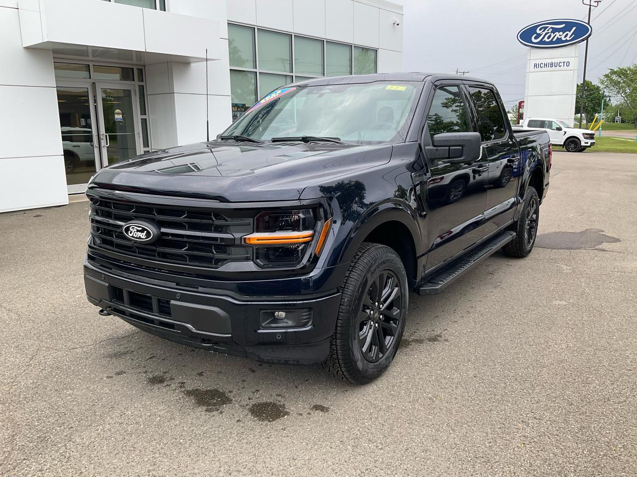 2025 Ford F-150 XLT Photo0