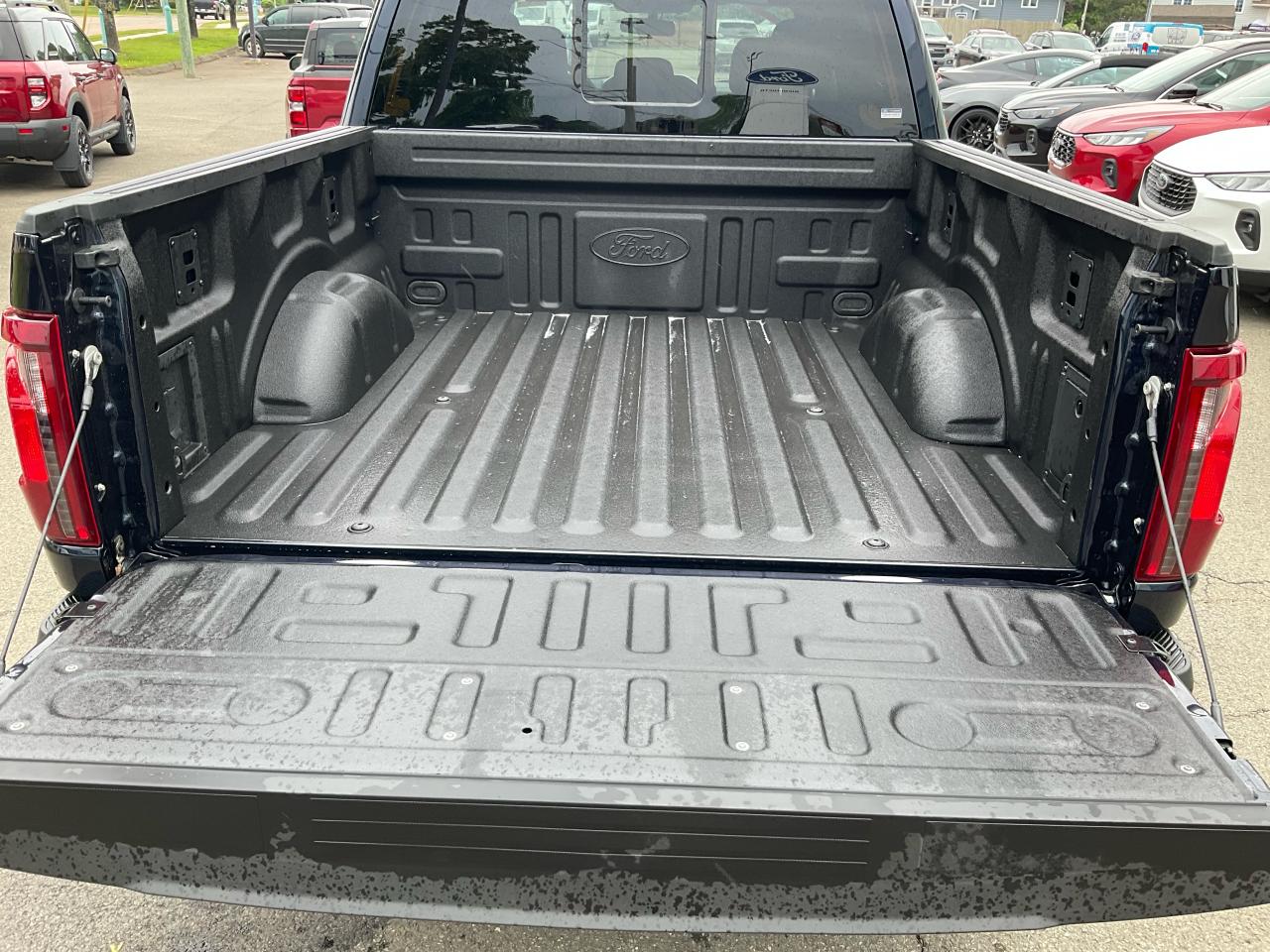 2025 Ford F-150 XLT Photo4